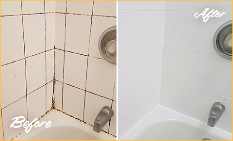 Shower Tile Grout Cleaning Colts Neck NJ - Clean Zone NJ Tile and