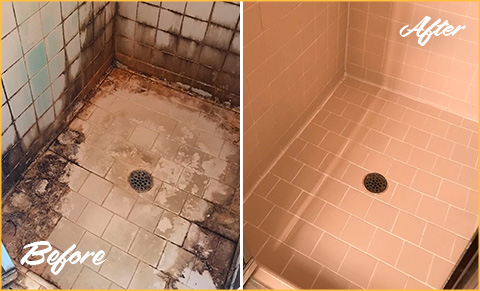 https://www.sirgroutcentralnj.com/images/p/5/tile-cleaning-shower-mold-480.jpg