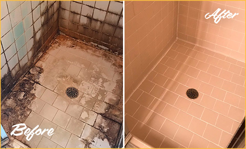 Manalapan NJ Grout Repair, Grout Cleaning