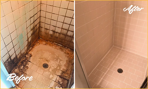 Shower Tile Grout Cleaning NJ - Clean Zone NJ Tile and Grout Cleaning, Grout  Repair NJ, Caulking NJClean Zone NJ Tile and Grout Cleaning, Grout Repair  NJ, Caulking NJ