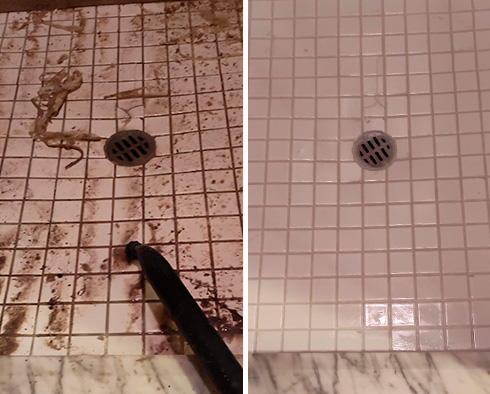 Shower Before and After a Tile Cleaning in Brick, NJ